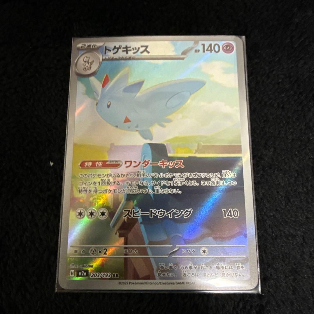 ポケモンカード ソロアークEX メガルカリオEX