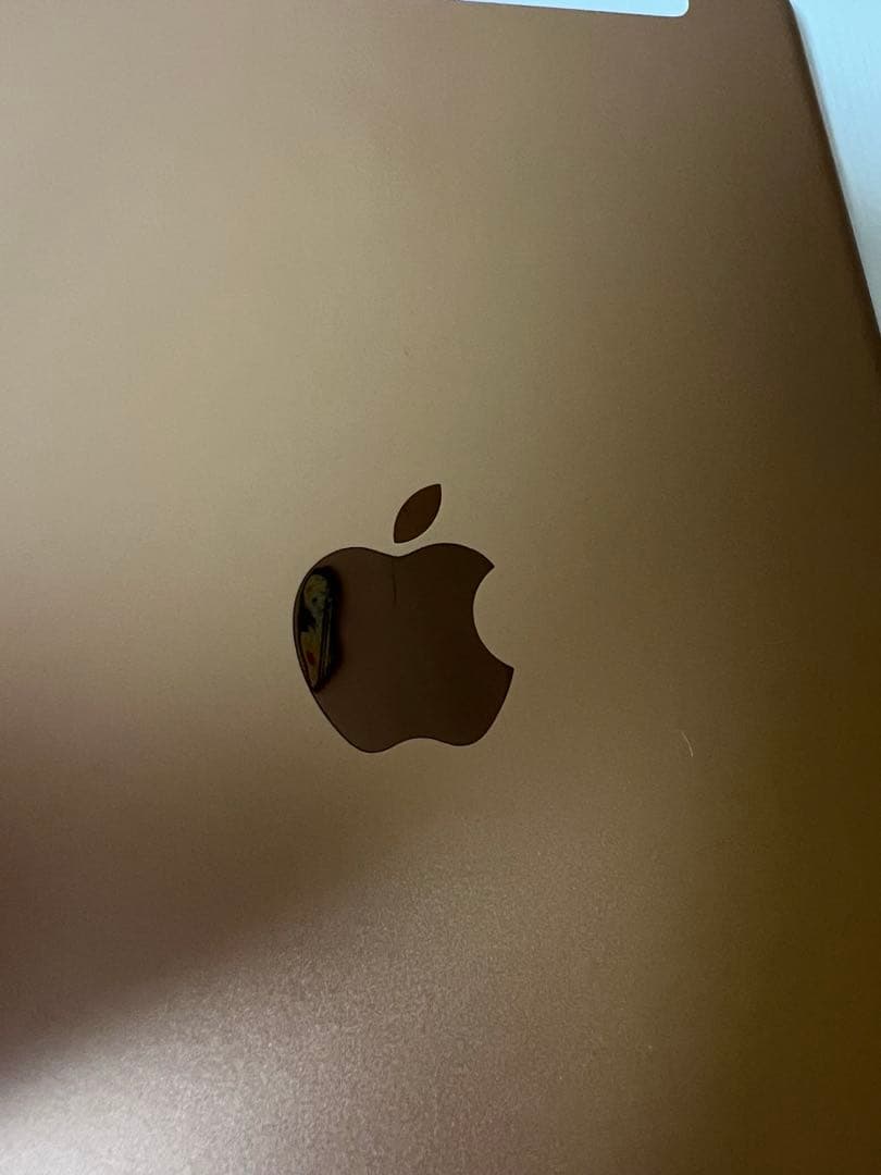 Apple iPad 本体 ピンクゴールド