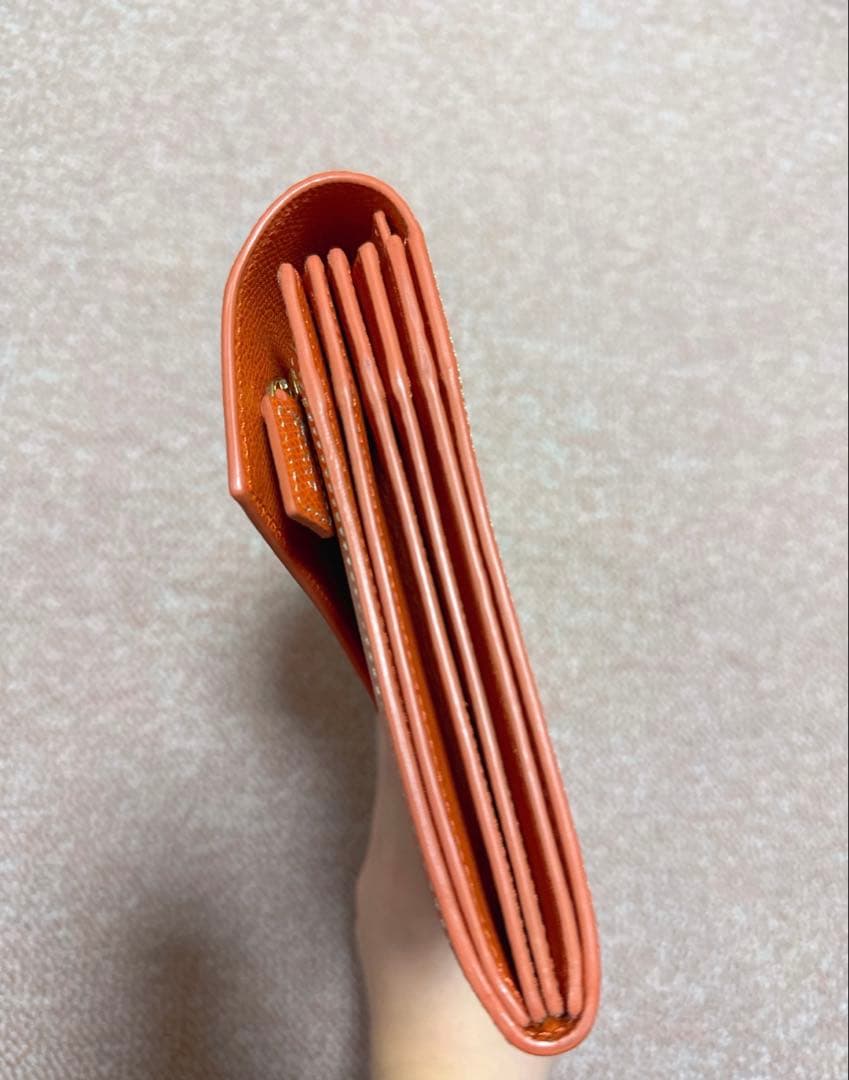 新品未使用！LOEWE ロエベ　トラベルポーチ