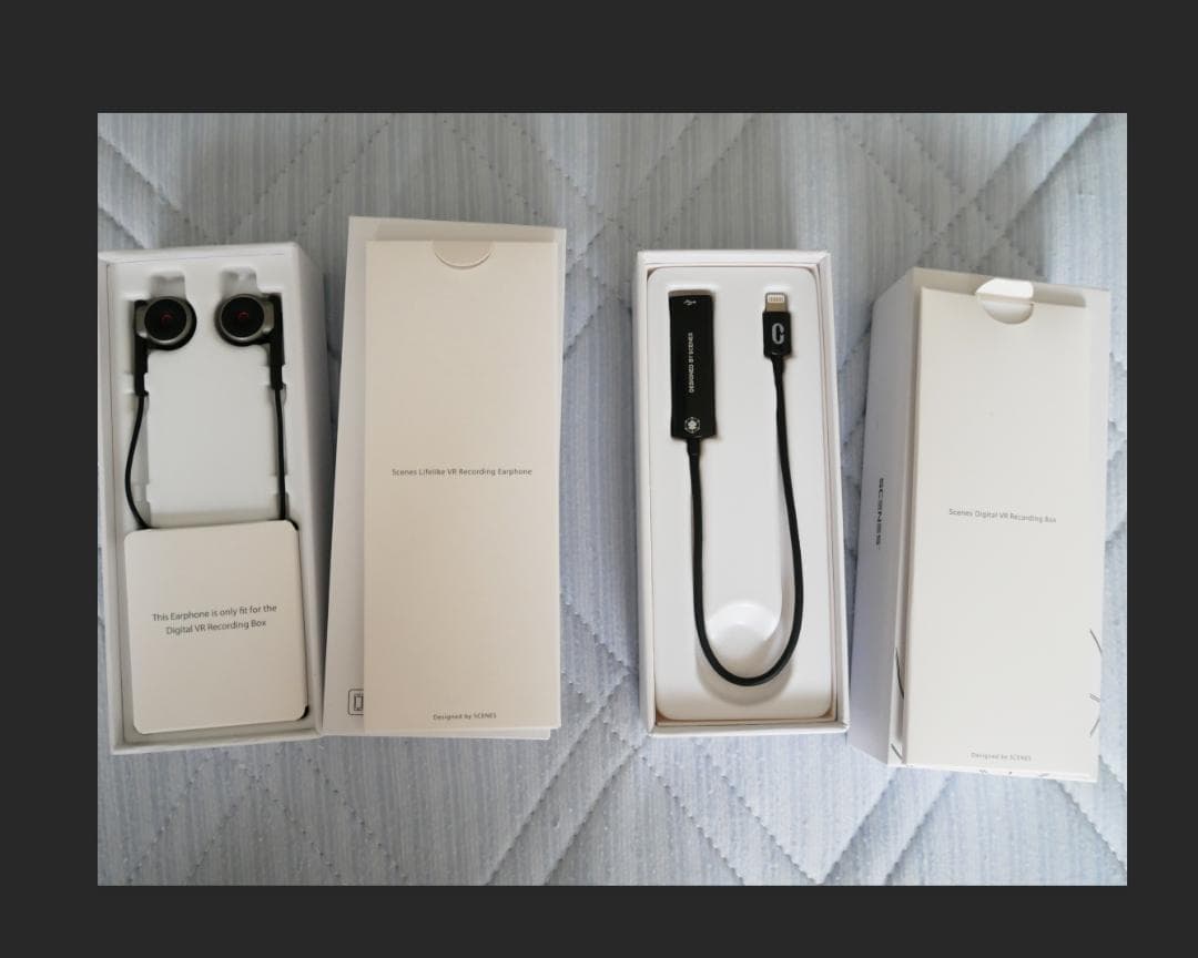 Scenes LifeLike バイノーラルイヤホン