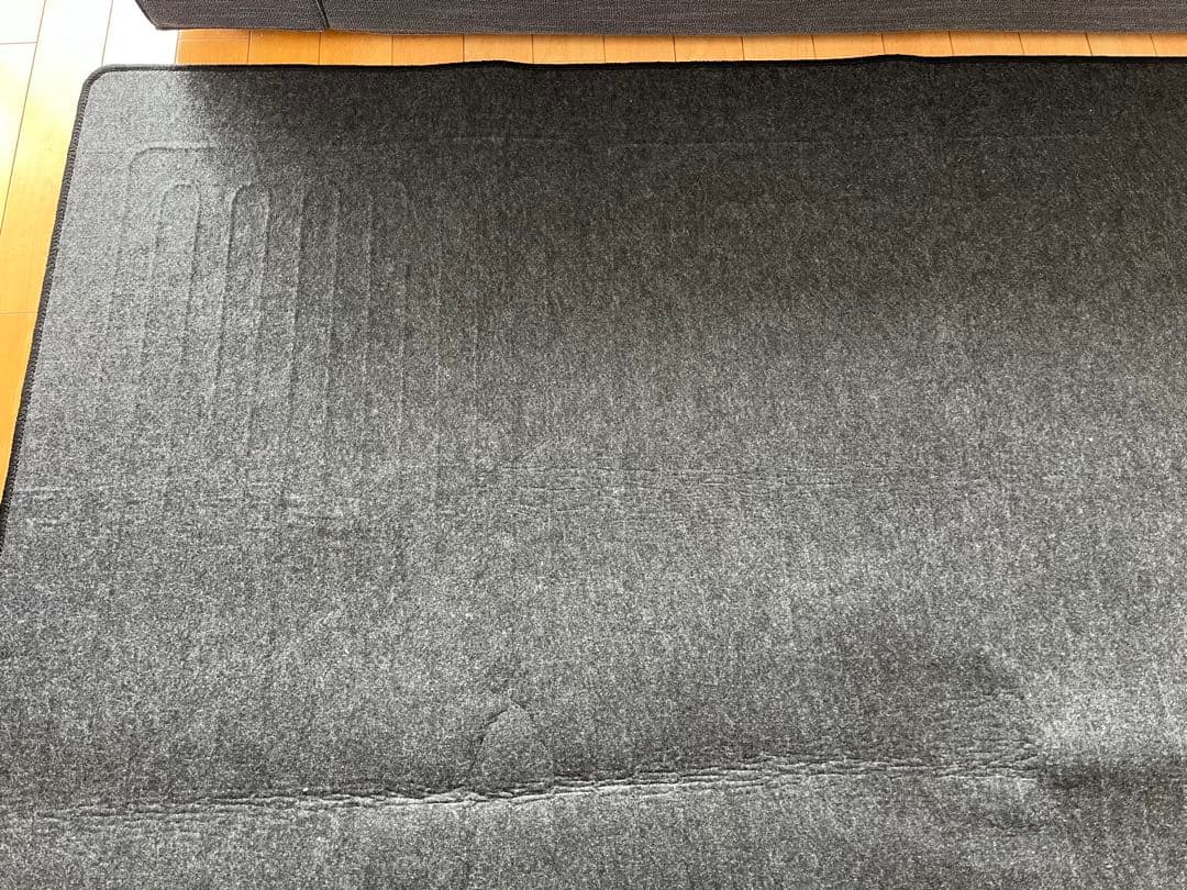 ゼンケン 電磁波カット ホットカーペット 3畳タイプ 本体のみ ZCB-30P