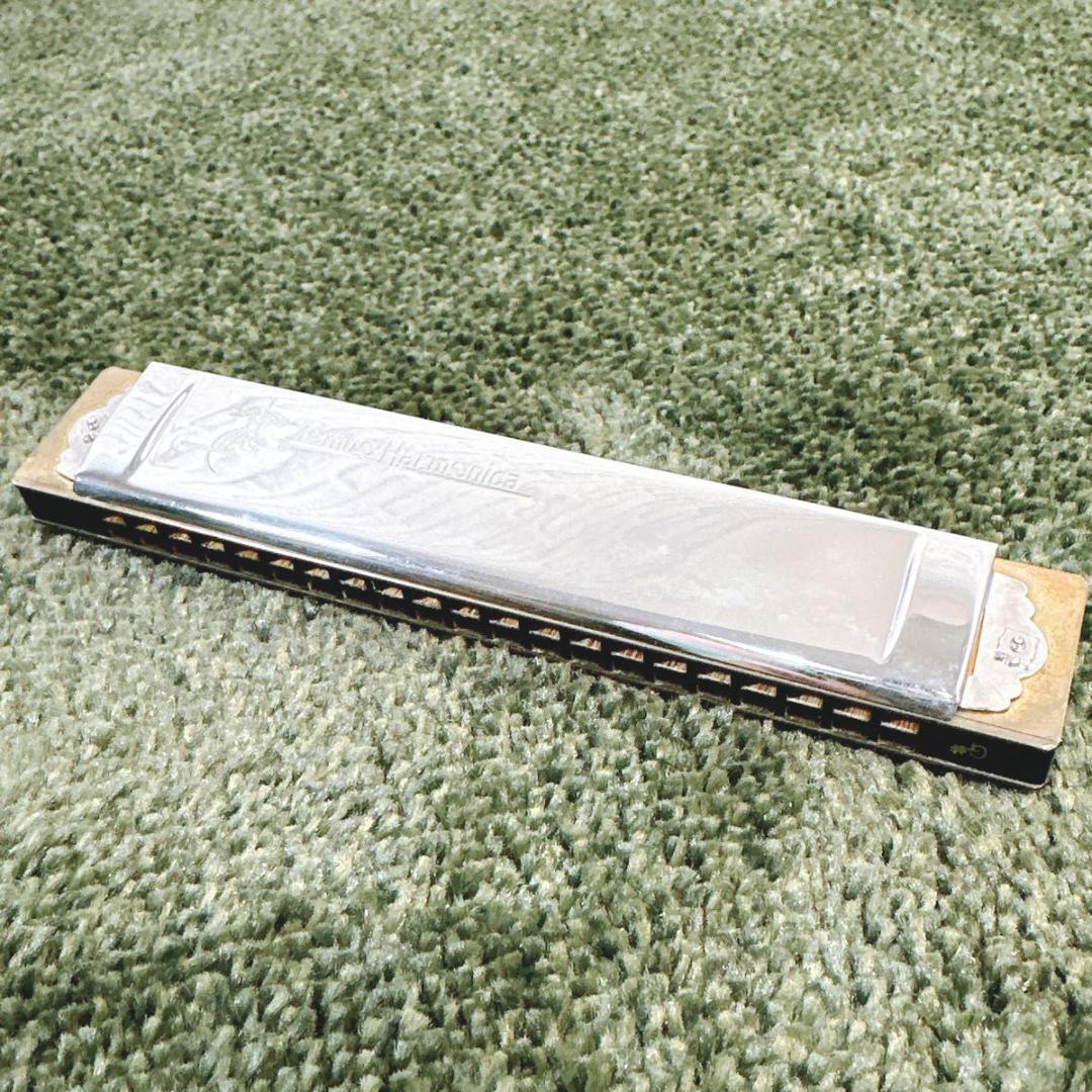 TOMBO BAND Deluxe 21TONE ハーモニカ ケース トンボ