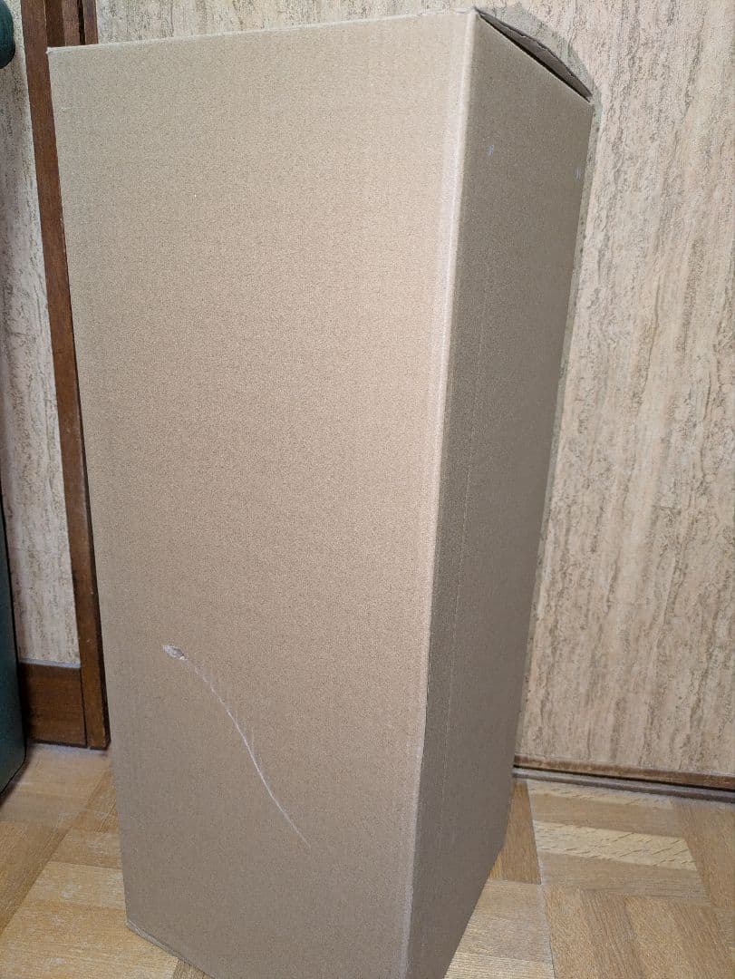 ⭐︎IROtoridori⭐︎　【未使用品】BRUNO カーボンヒーター