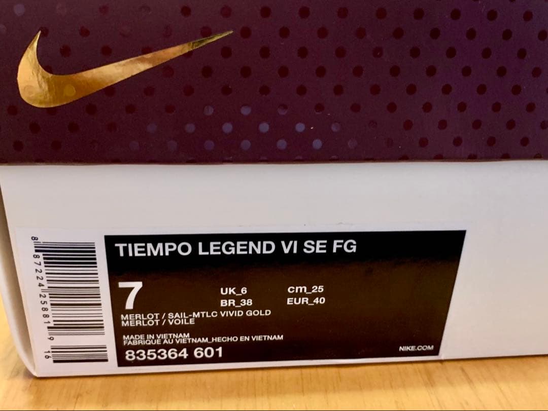 NIKE ティエンポレジェンド6 SE FGアンドレア ピルロ　25.0cm