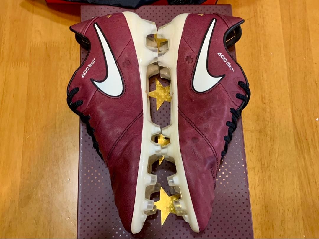 NIKE ティエンポレジェンド6 SE FGアンドレア ピルロ　25.0cm