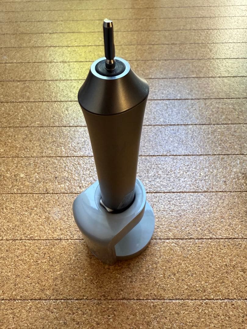 【美品】Panasonic 電動歯ブラシ本体 グレー EW-DA44 ケース付き