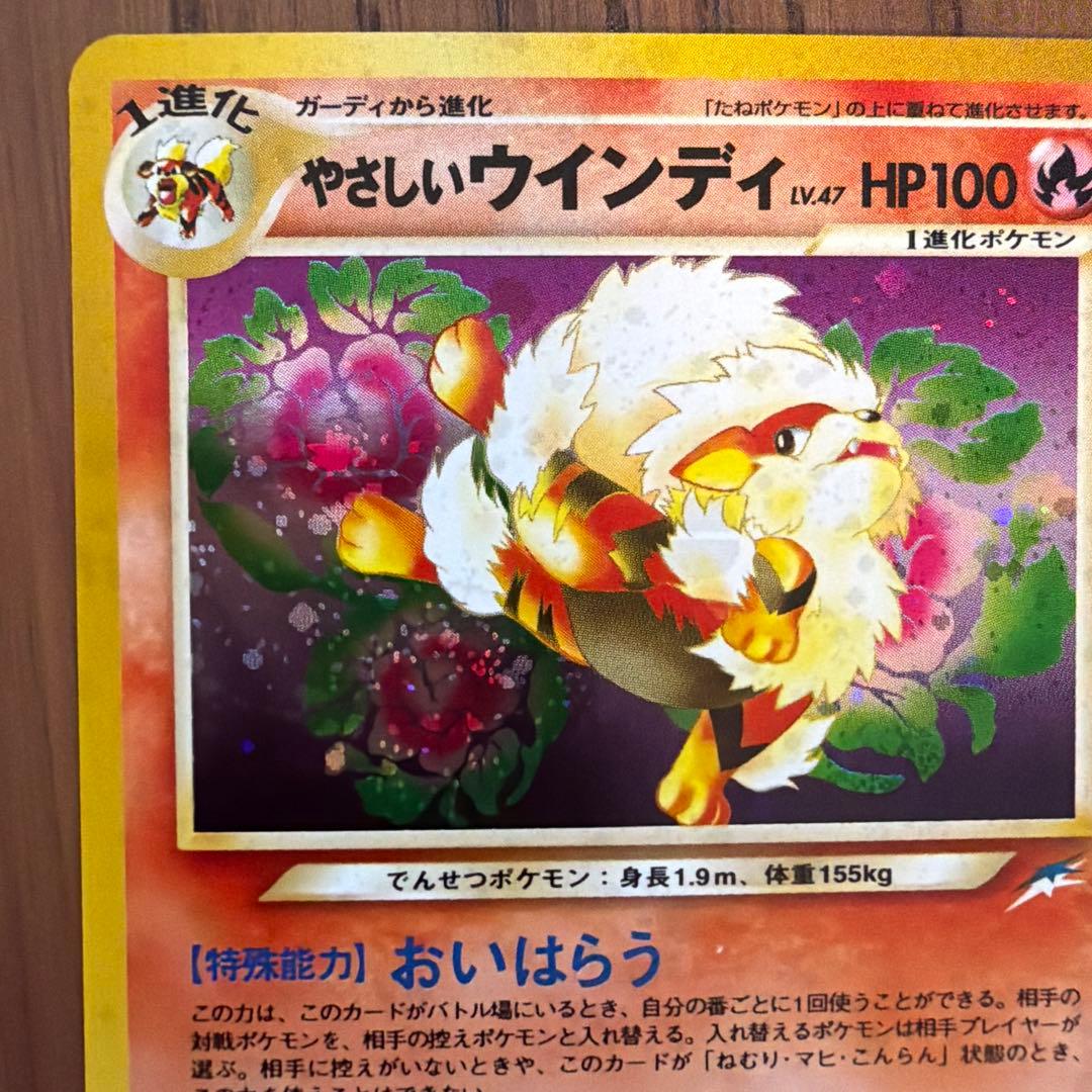 【旧裏】やさしいウインディ 拡張パック第4弾 闇、そして光へ…