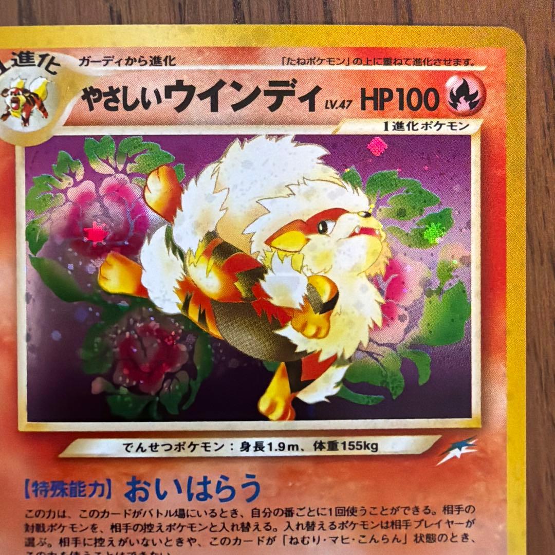 【旧裏】やさしいウインディ 拡張パック第4弾 闇、そして光へ…