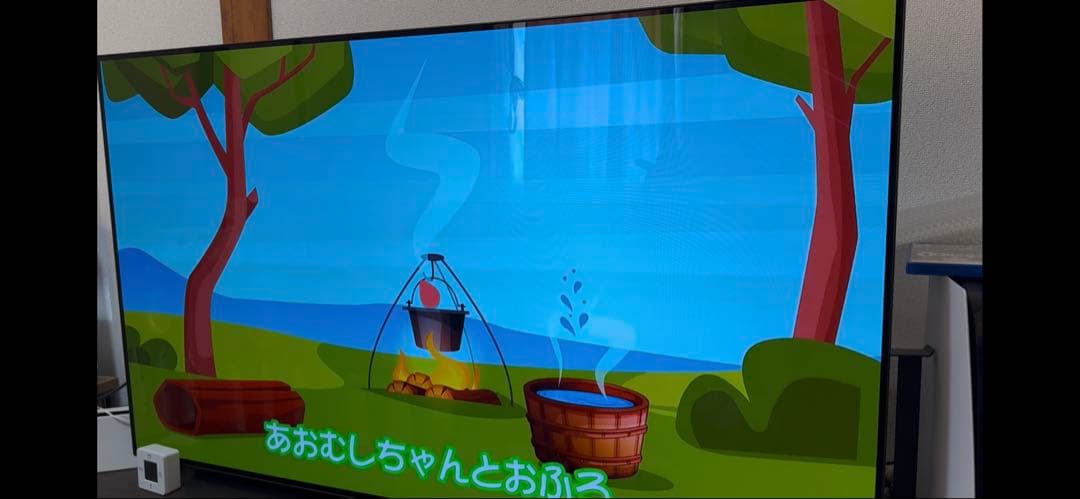 【ジャンク扱い】LG 55型 4K有機EL テレビ OLED 55CXPJA