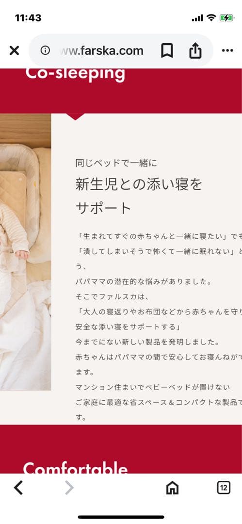 ゆいぽん　ファルスカ　ベッドインベッド　FLEX