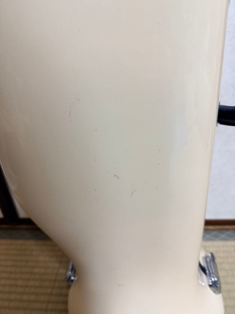 【クリスマス限定価格‼️】ccシャイニー トロンボーンケース 初代モデル