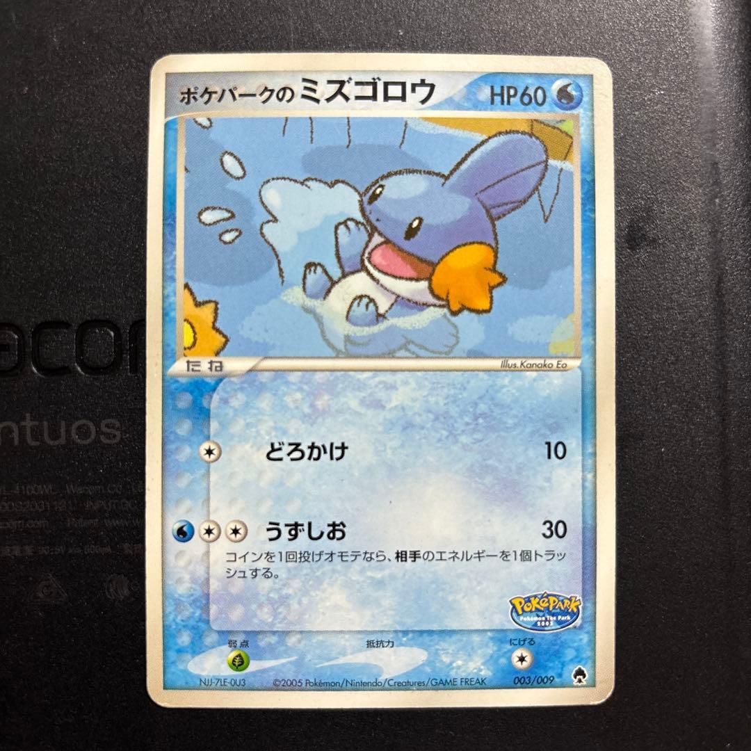 ポケパーク限定　ポケモンカード　フォレストシート(バラ売り不可)