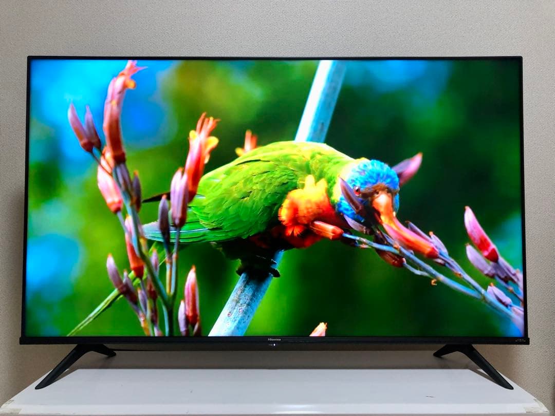 ハイセンス 50V型 液晶テレビ 4Kチューナー内蔵 50E6G 動画アプリ搭載