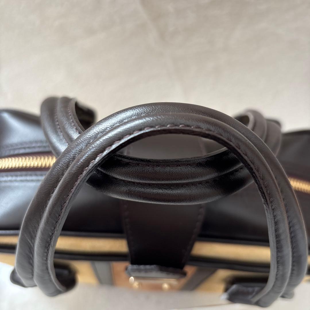 極美品 ロベルタディカメリーノ　ハンドバッグ プリマオステス 自立型