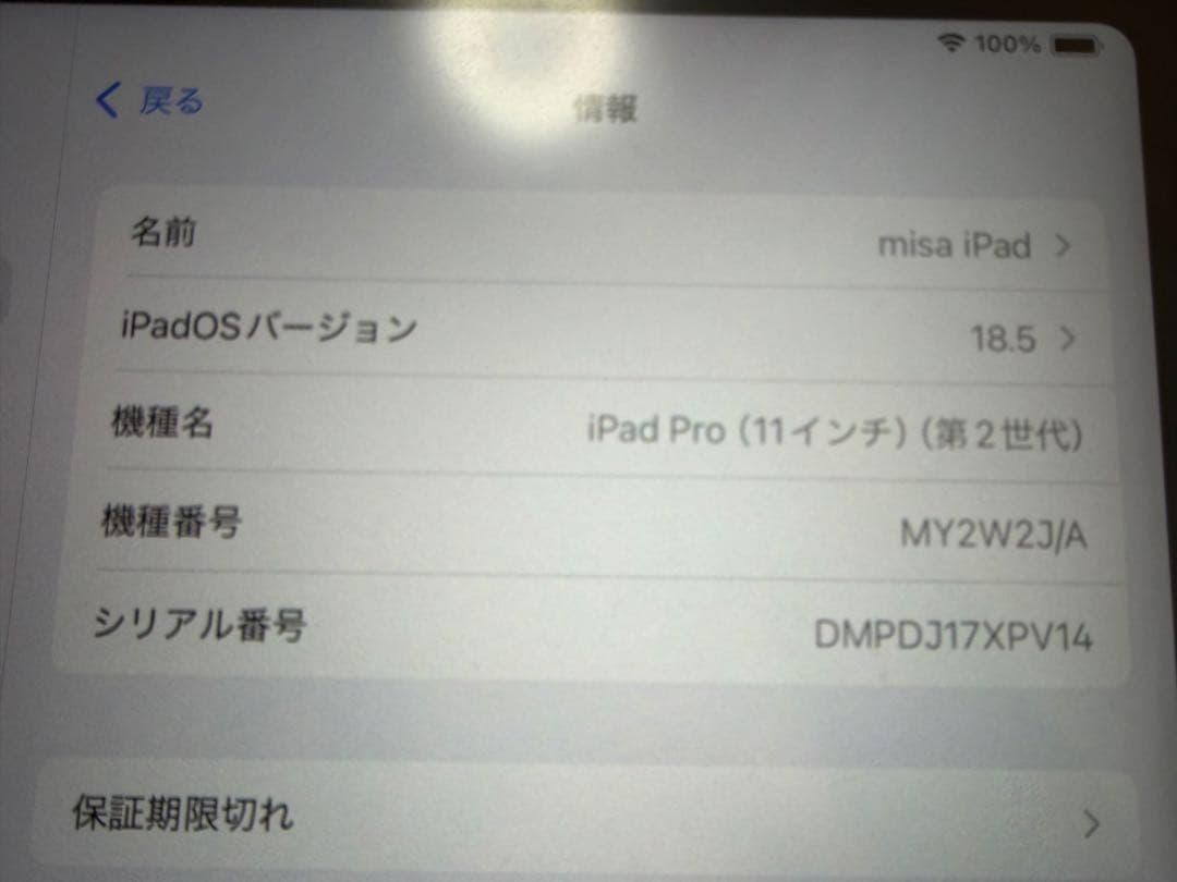iPad Pro (11インチ) 第2世代 シルバー　ipadのみ！