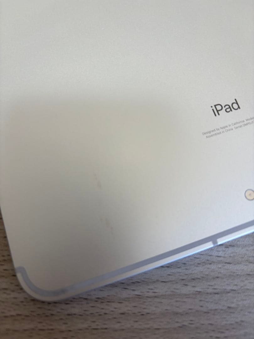 iPad Pro (11インチ) 第2世代 シルバー　ipadのみ！