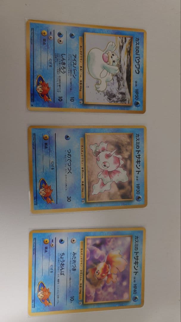 ジムリーダーカスミ12枚セット