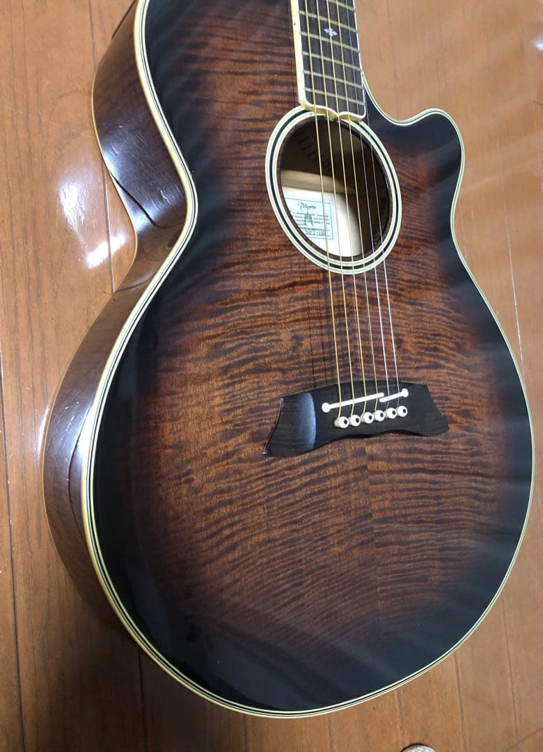 美品　良品　￼タカミネTakamine エレアコ￼ NPT-110 H/C付