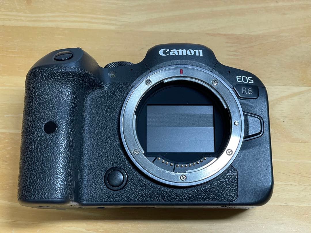 Canon EOS R6ミラーレスカメラ