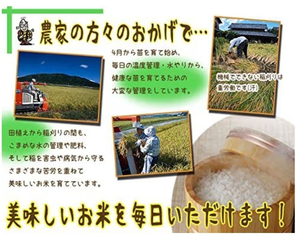 新潟県産 こしひかり 5kg　2袋