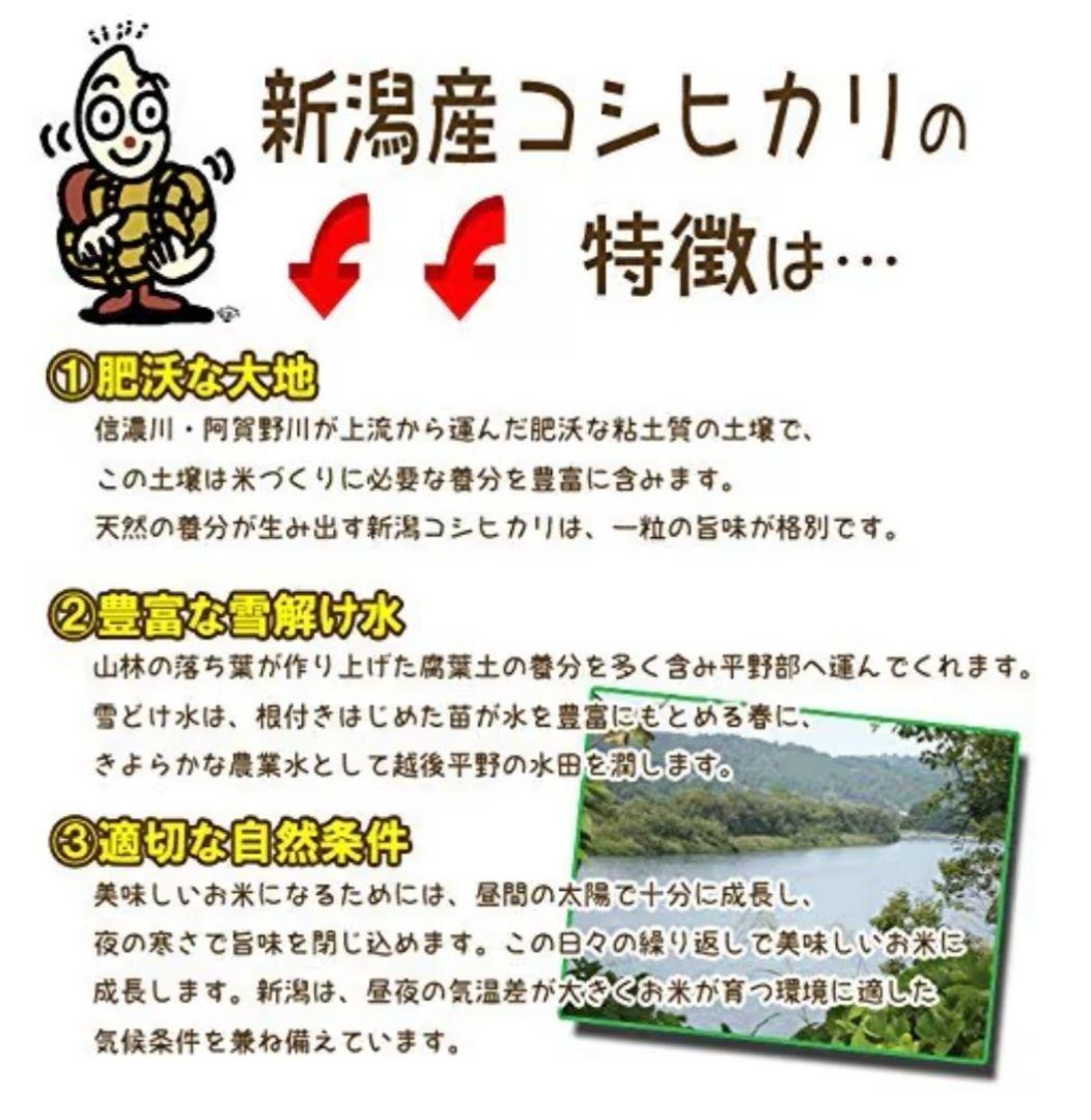 新潟県産 こしひかり 5kg　2袋