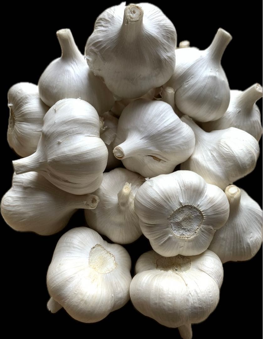 にんにく最高級にんにく10キロ　2Lサイズ青森県産にんにくホワイト六片種にんにく