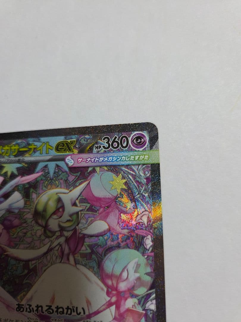 メガサーナイトex、スグリ