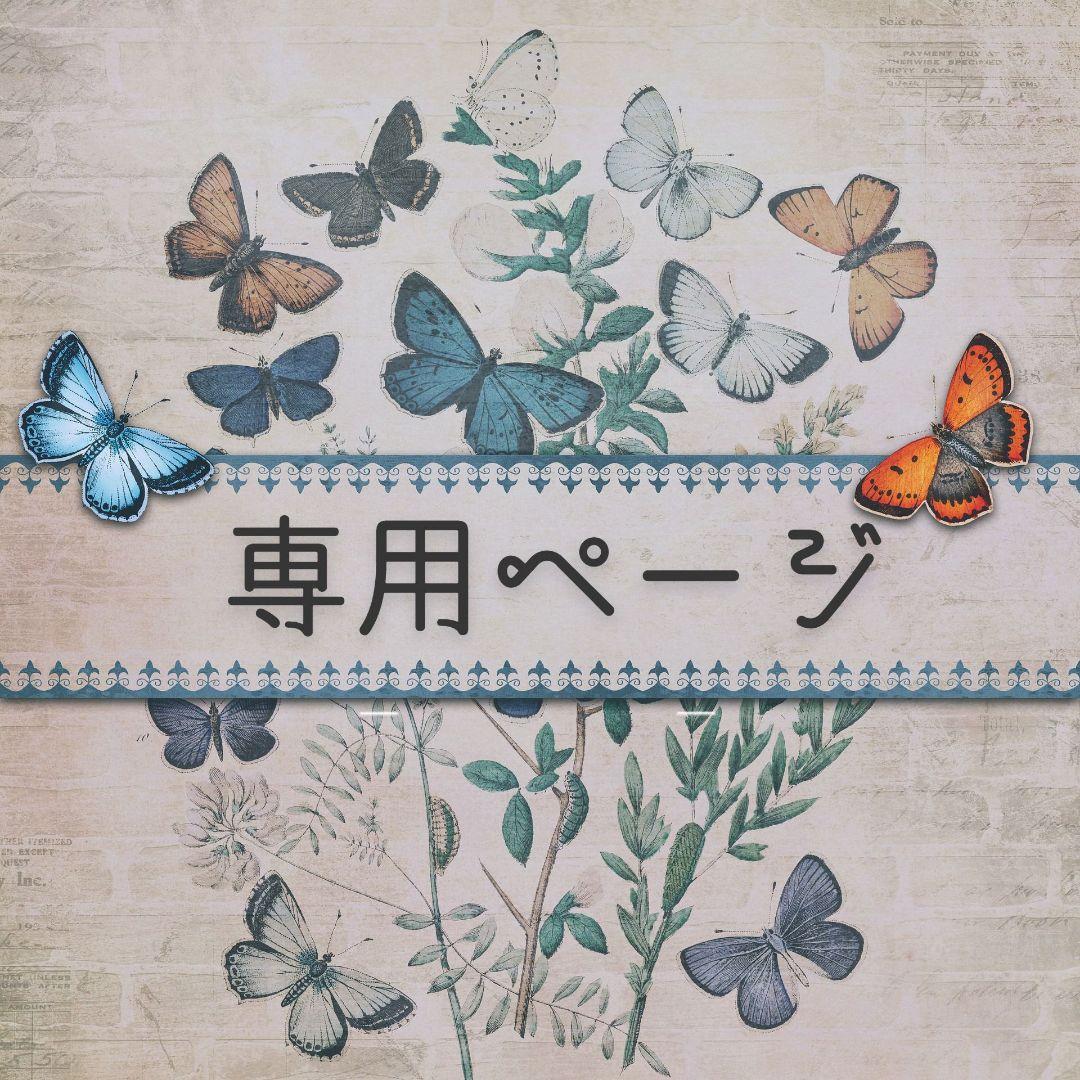 プリンセスの宝箱(まとめ買い大歓迎✨️)★オラクル