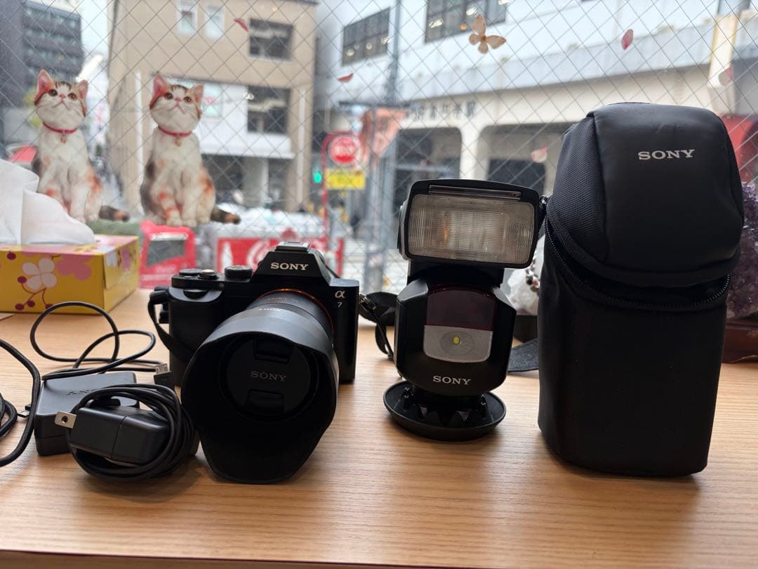 SONY αシリーズ デジタルカメラ Sonnar FE 18-55 ZA