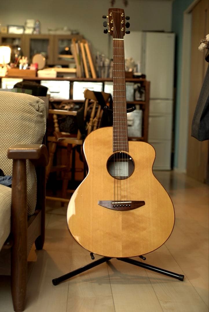 baden ギター　A style ベーデン　ハードケース付