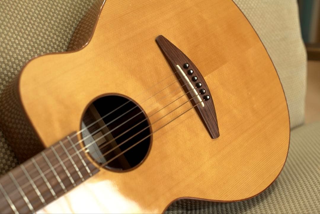 baden ギター　A style ベーデン　ハードケース付