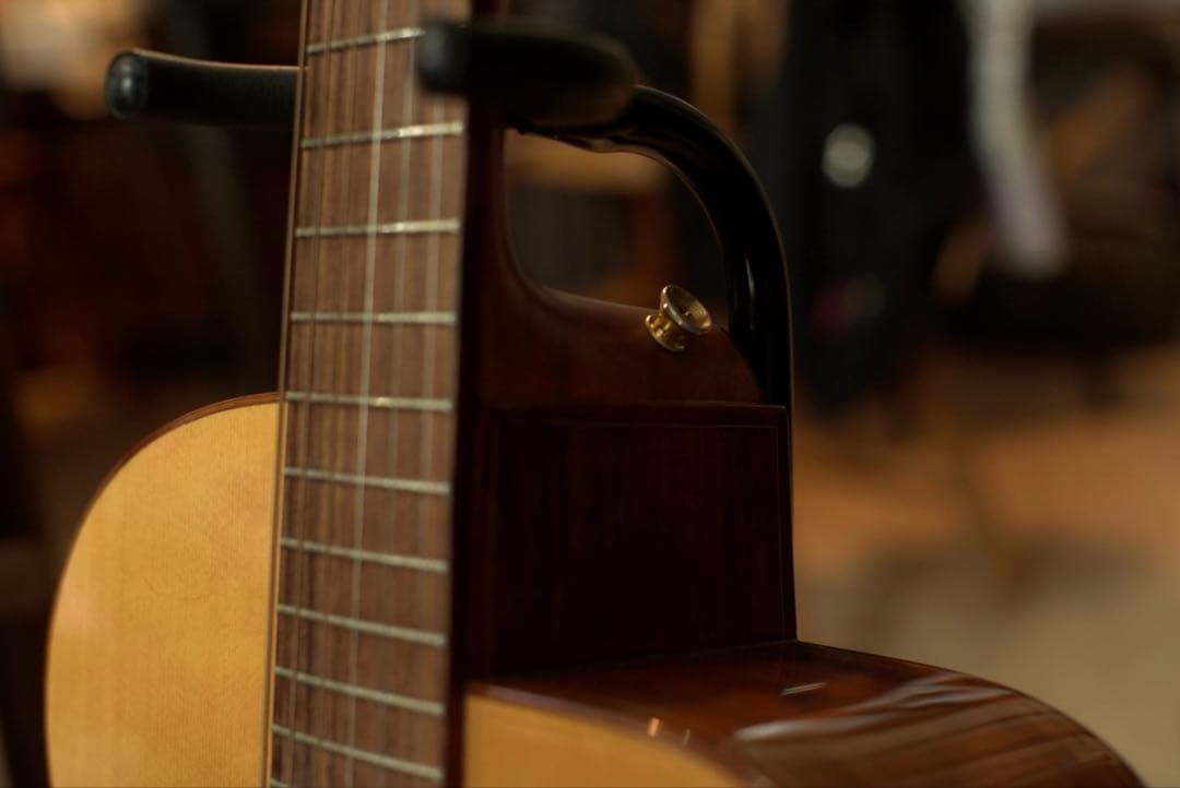 baden ギター　A style ベーデン　ハードケース付