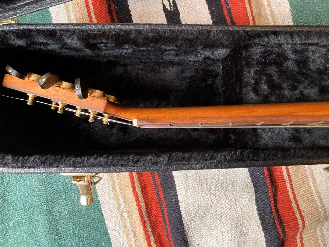 baden ギター　A style ベーデン　ハードケース付