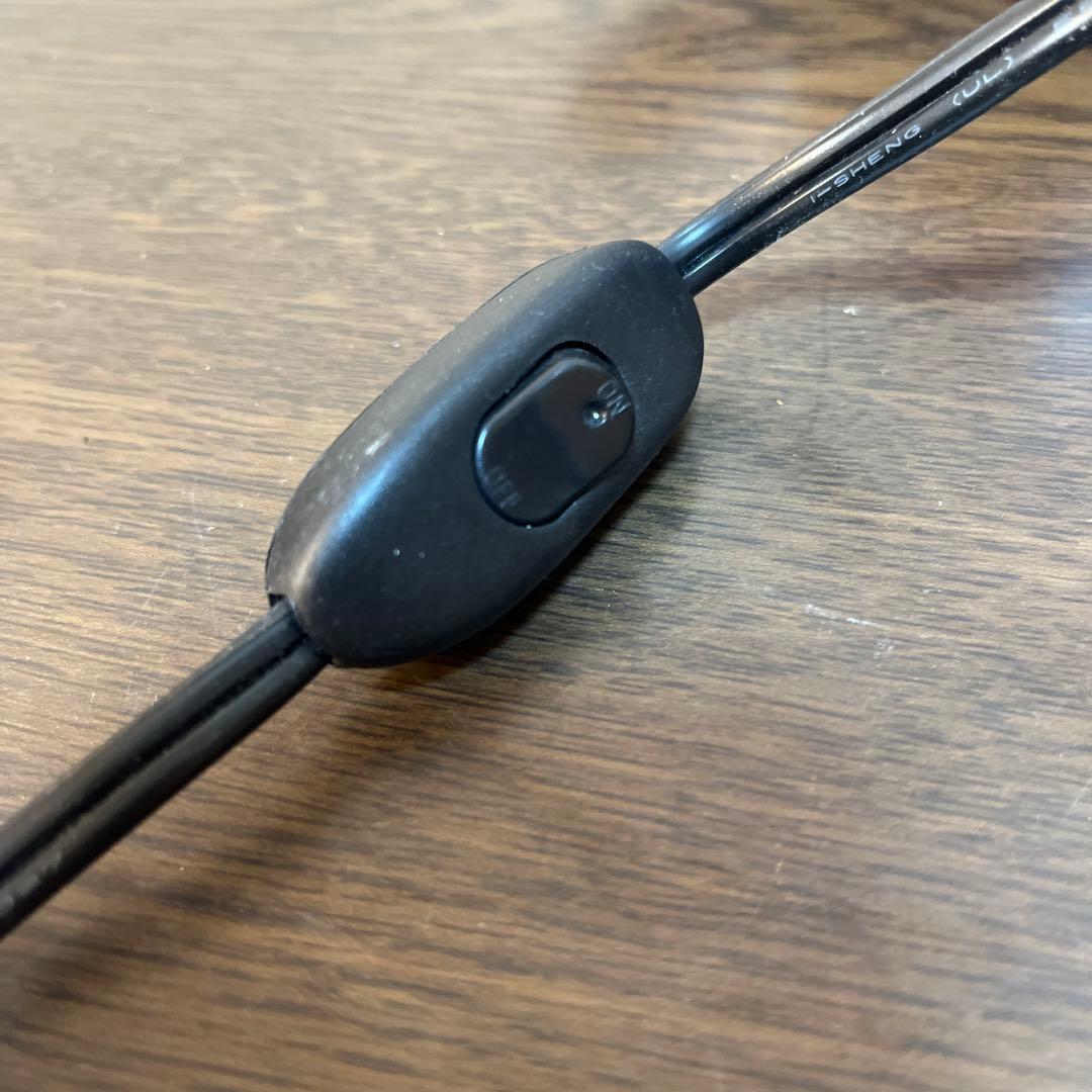 グレイトフルデッド　タートルライト