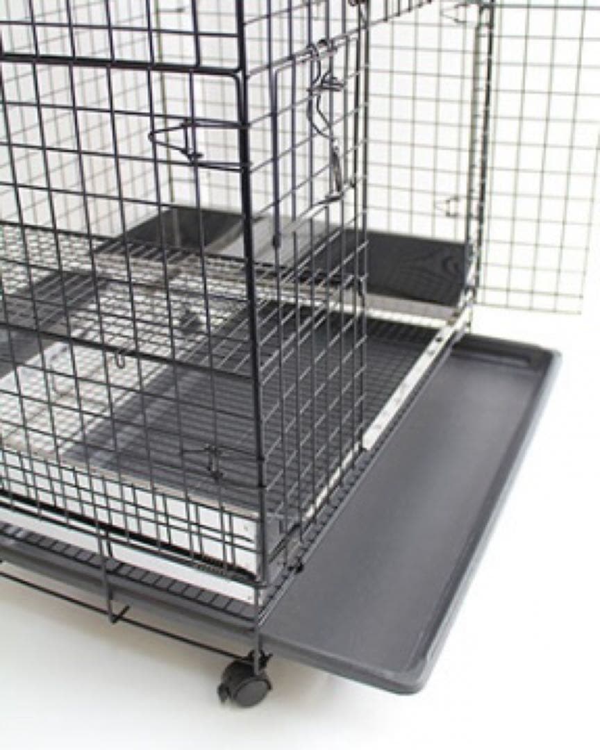 お値下げ！うさぎのしっぽ プロケージ60