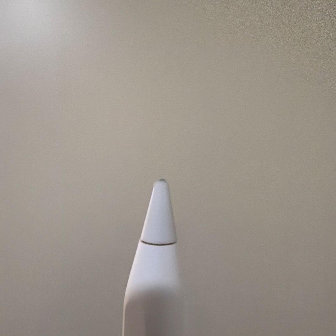 Apple Pencil ホワイト type c usbc