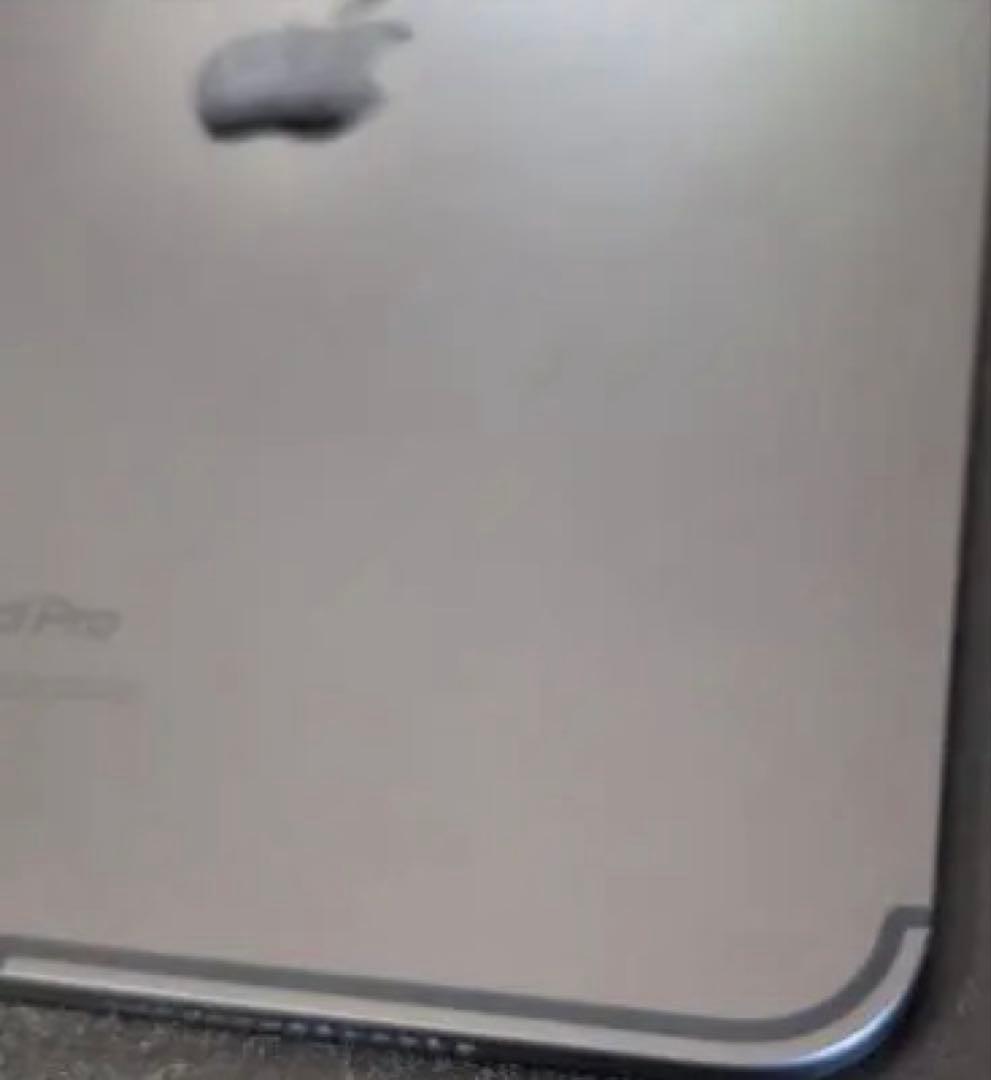 iPad Pro M4 Cellular 11インチ　 256GB SIMフリー