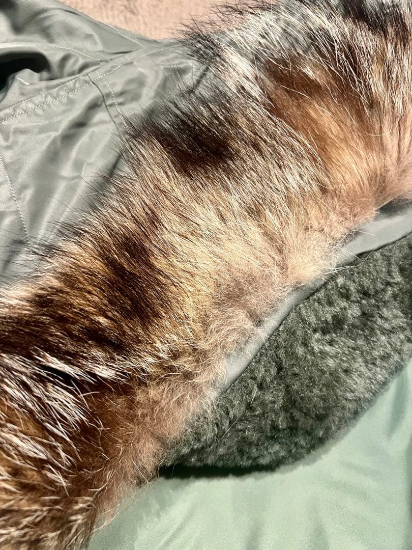 BUZZ RICKSON'S N-3ジャケット　Lサイズ　美品