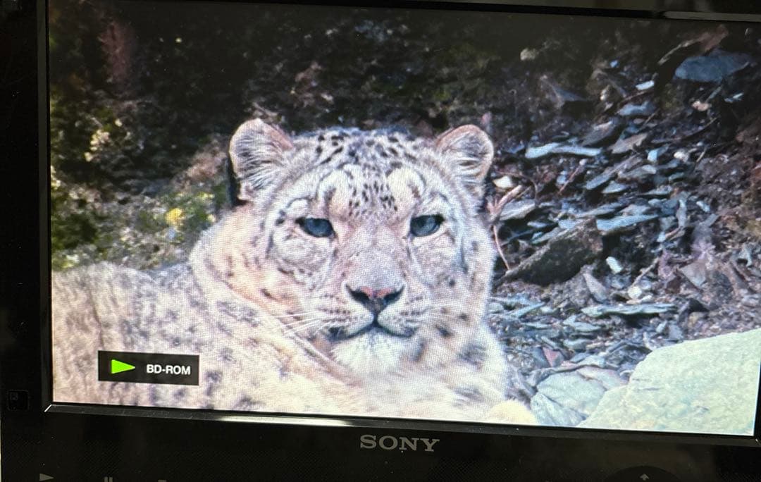 ポータブルBlu-rayDVDプレーヤー SONY