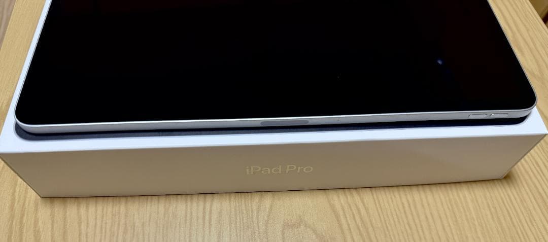 iPad Pro 12.9（第５世代）256GB Wi-Fiモデル