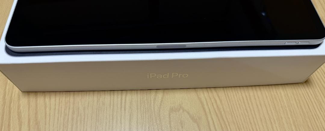 iPad Pro 12.9（第５世代）256GB Wi-Fiモデル