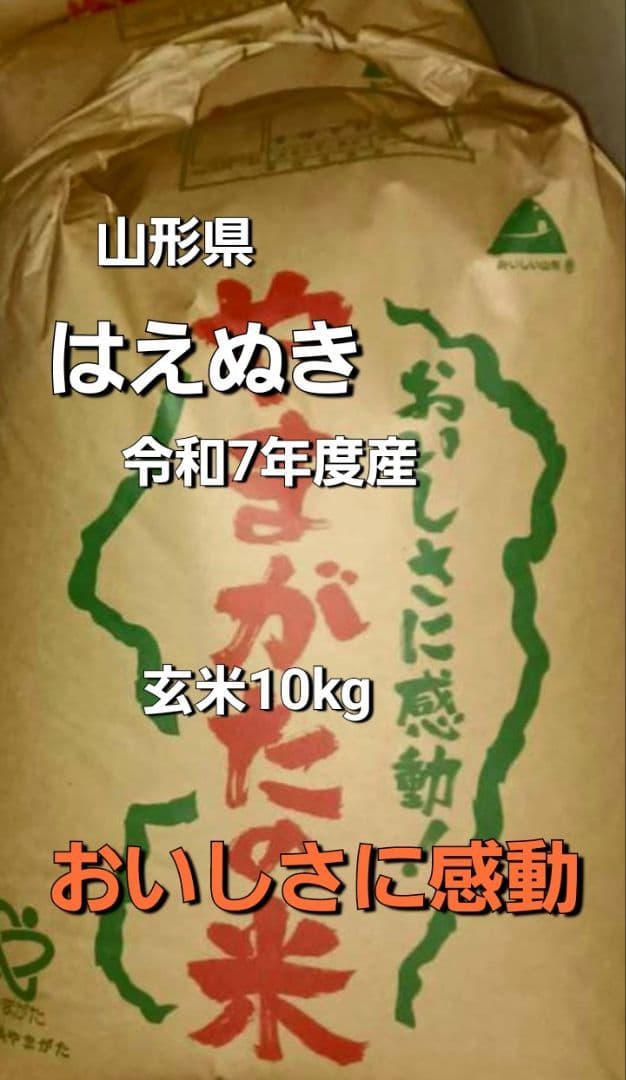 はえぬき 特A米 玄米 10kg　令和7年度産　山形県産　全国送料無料