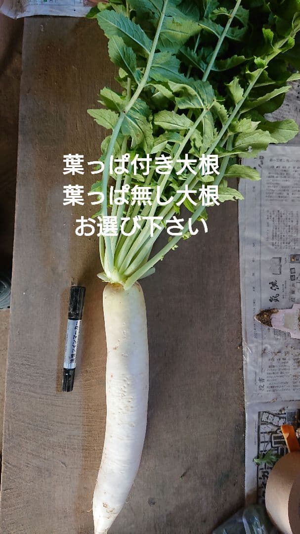 冬野菜、御所柿セット奈良県産