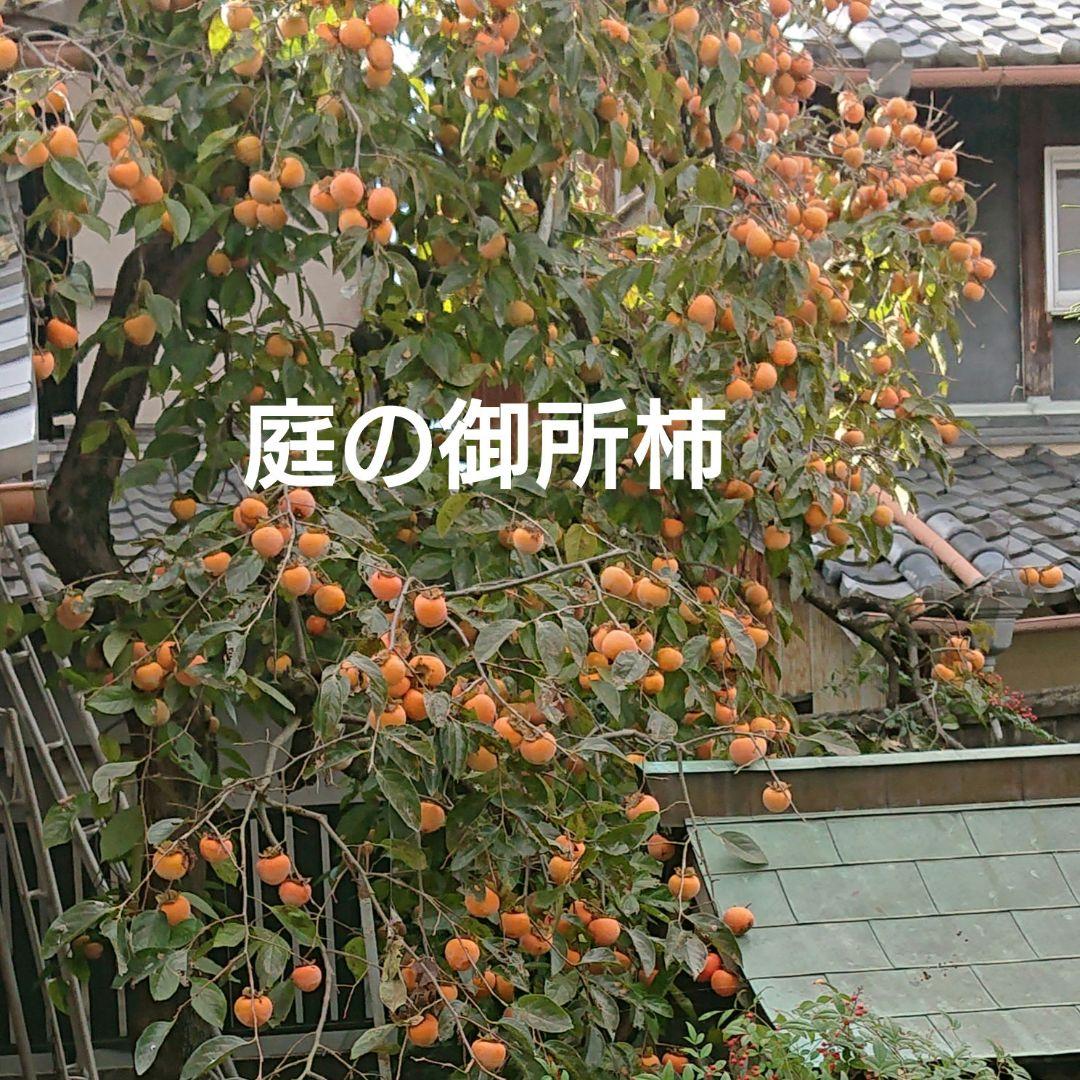 冬野菜、御所柿セット奈良県産