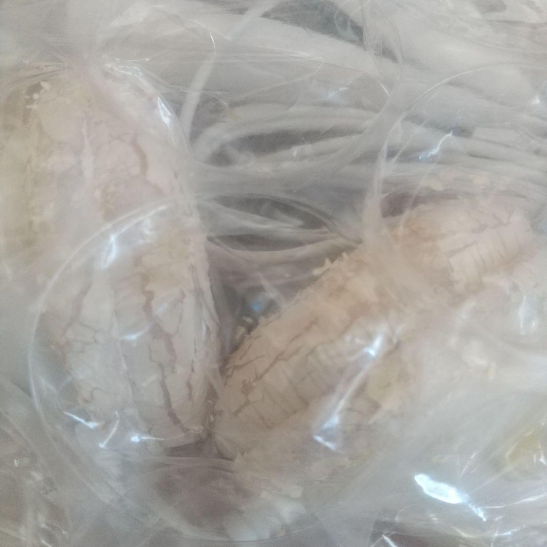 20471120 ヘッドフォン