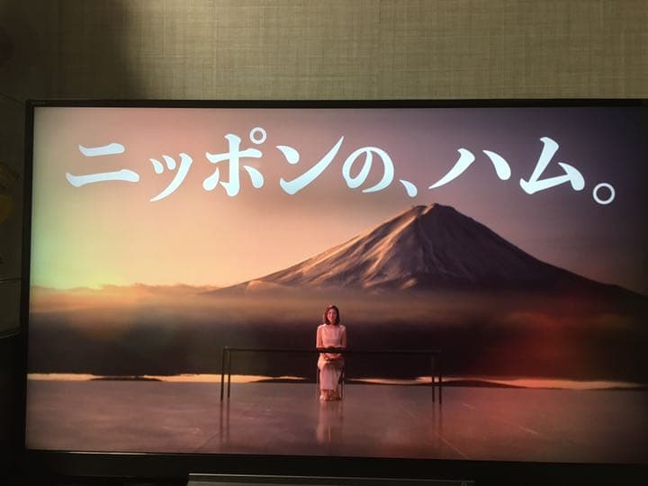 REGZA 55BZ710X（訳ありのため説明をお読みください）