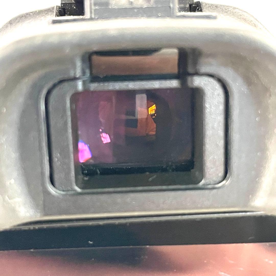 SONY ソニー デジタル一眼レフカメラ a65 SLT-A65V