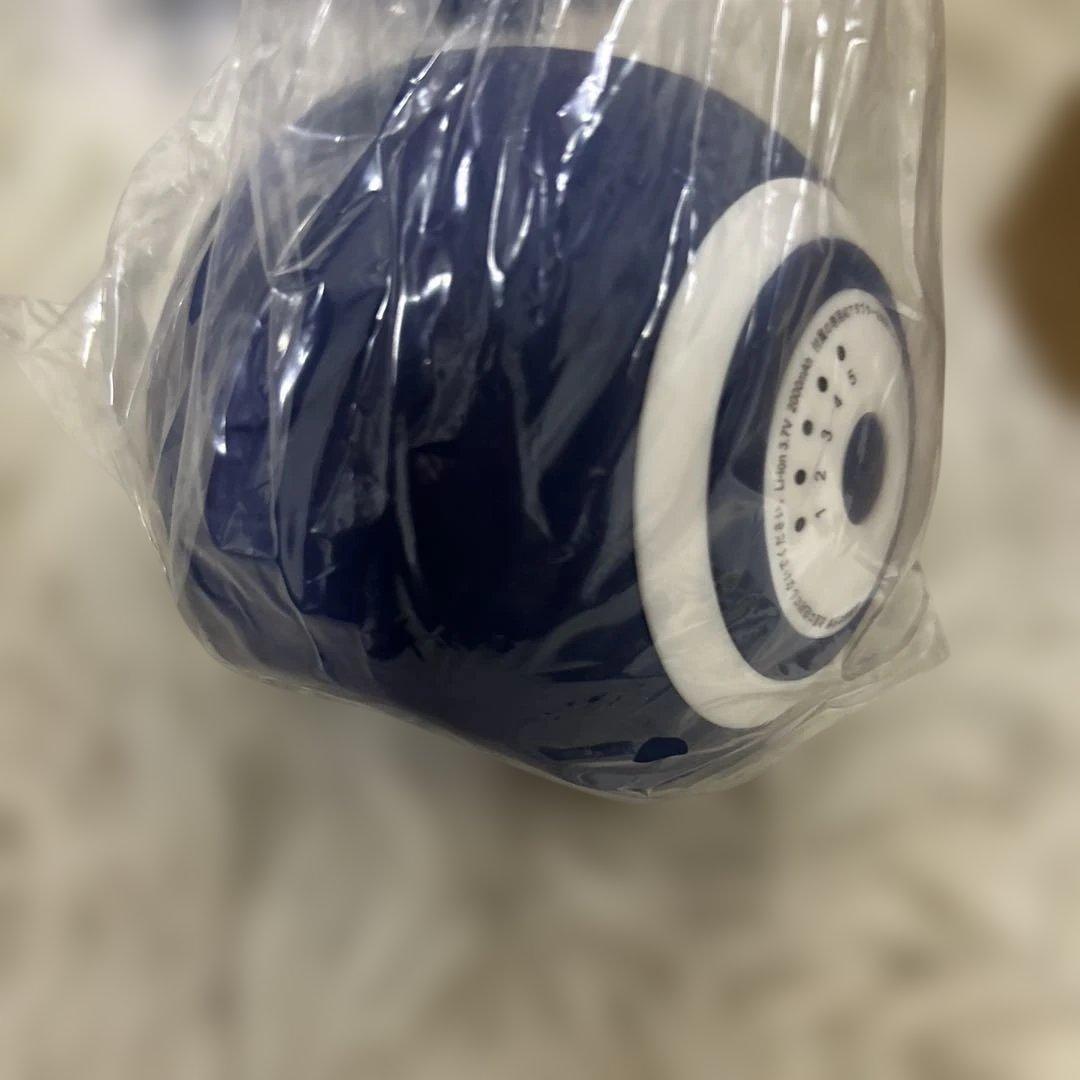 【未使用品】フィットネスクラブ スタイリーボール SLB-100 青