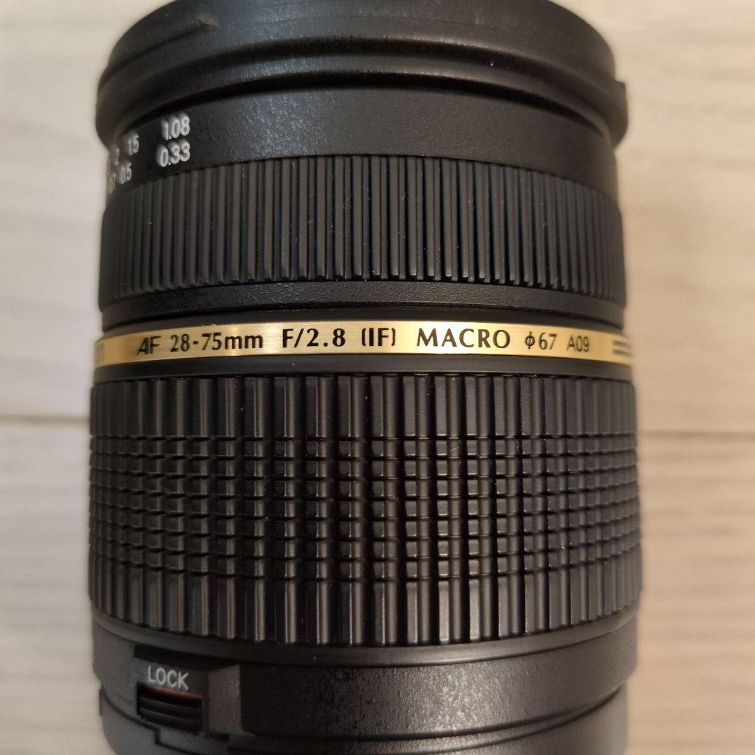 ぼ*ー様 TAMRON SP AF 28-75mm F2.8 Di MACRO