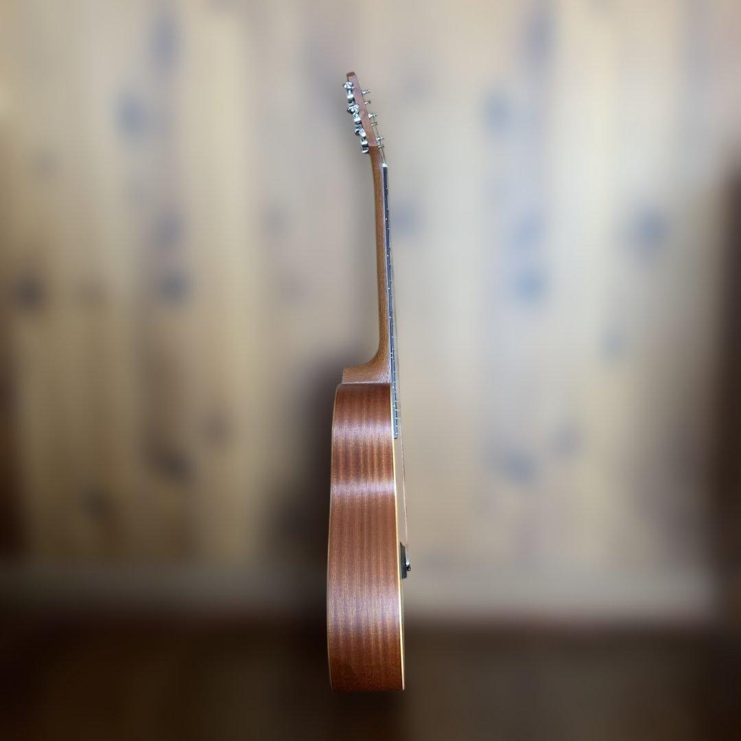 Taylor GS Mini ケース付